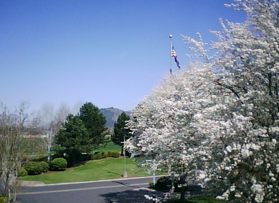 The view, north by northeast